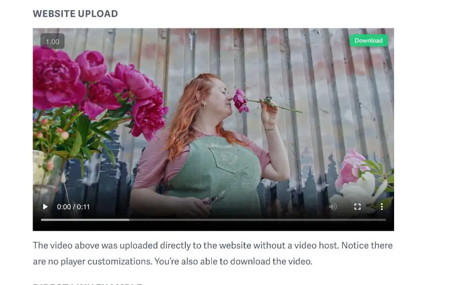 Sprout Video Downloader browser extension screenshot 10