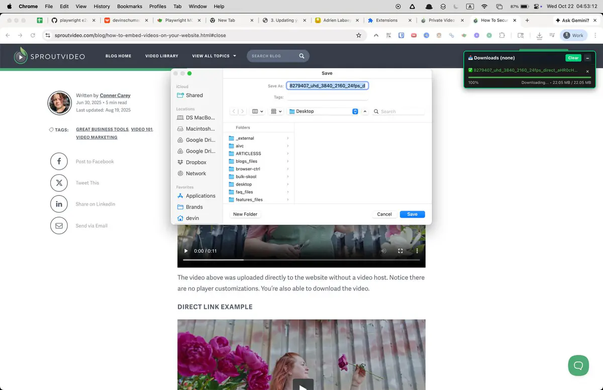 Sprout Video Downloader browser extension screenshot 11
