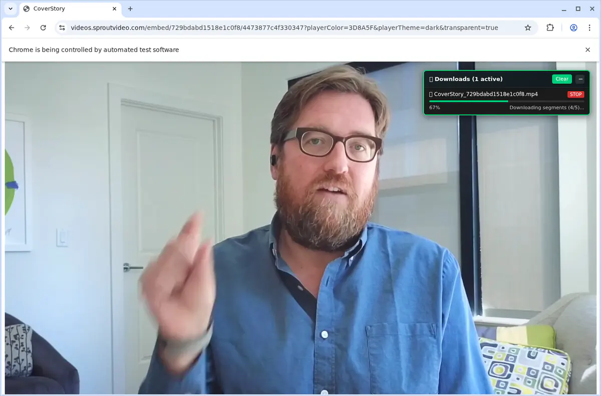 Sprout Video Downloader browser extension screenshot 12